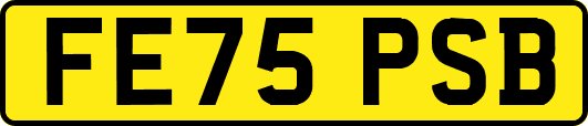FE75PSB