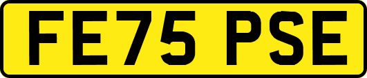 FE75PSE