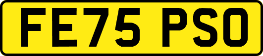 FE75PSO