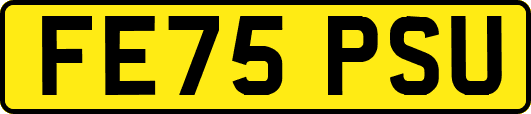 FE75PSU