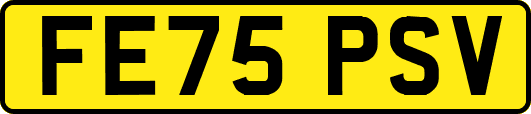 FE75PSV