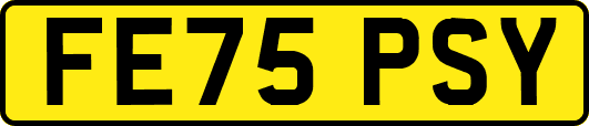 FE75PSY