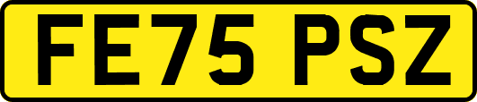 FE75PSZ