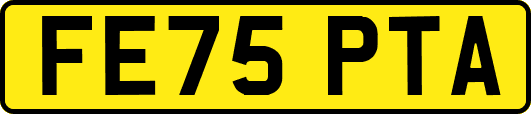 FE75PTA