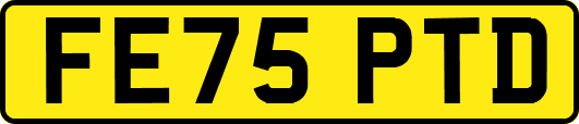 FE75PTD