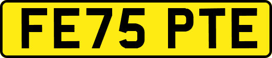 FE75PTE