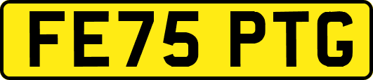 FE75PTG