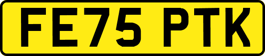 FE75PTK