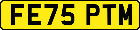 FE75PTM