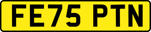 FE75PTN