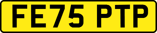 FE75PTP