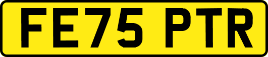 FE75PTR