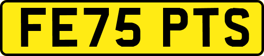 FE75PTS