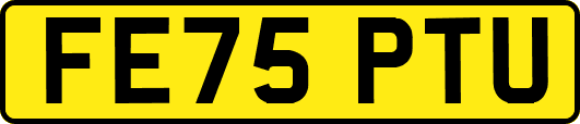 FE75PTU