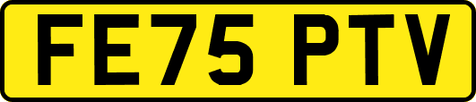 FE75PTV