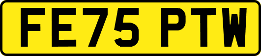FE75PTW