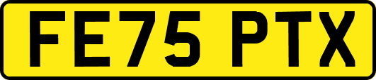 FE75PTX
