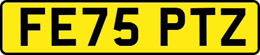 FE75PTZ