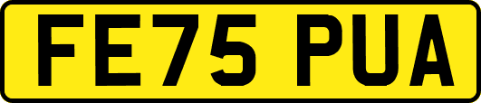 FE75PUA