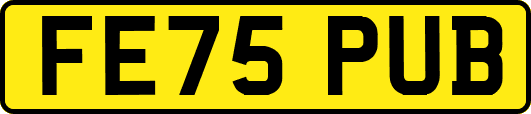 FE75PUB