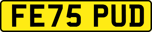 FE75PUD