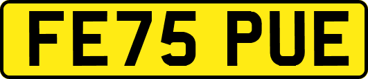 FE75PUE
