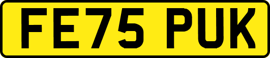 FE75PUK
