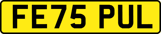 FE75PUL