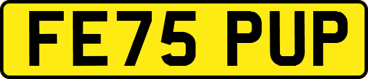 FE75PUP