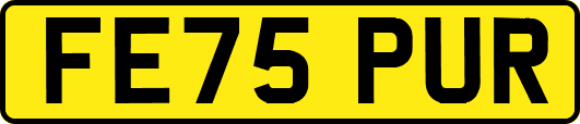 FE75PUR