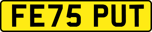 FE75PUT
