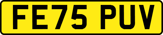 FE75PUV
