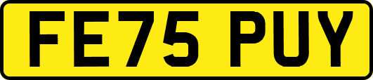 FE75PUY