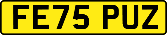 FE75PUZ