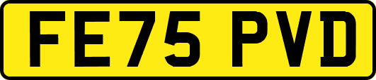 FE75PVD