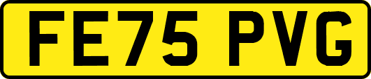 FE75PVG