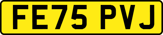 FE75PVJ