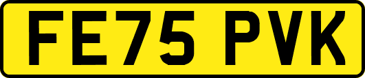 FE75PVK