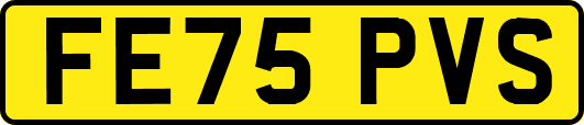 FE75PVS