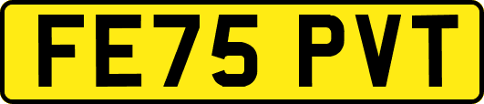 FE75PVT