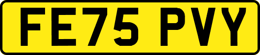 FE75PVY