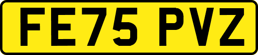 FE75PVZ