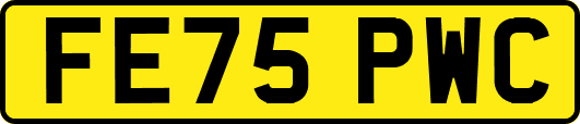 FE75PWC