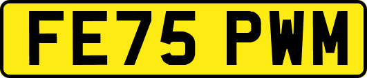FE75PWM