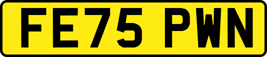 FE75PWN