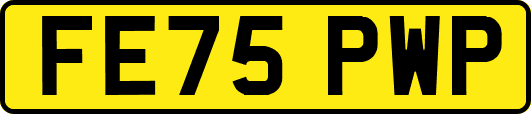 FE75PWP