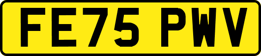 FE75PWV