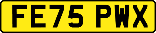 FE75PWX