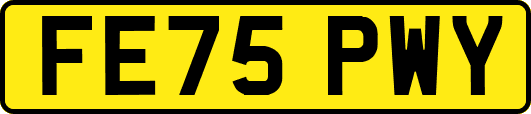 FE75PWY