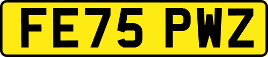 FE75PWZ